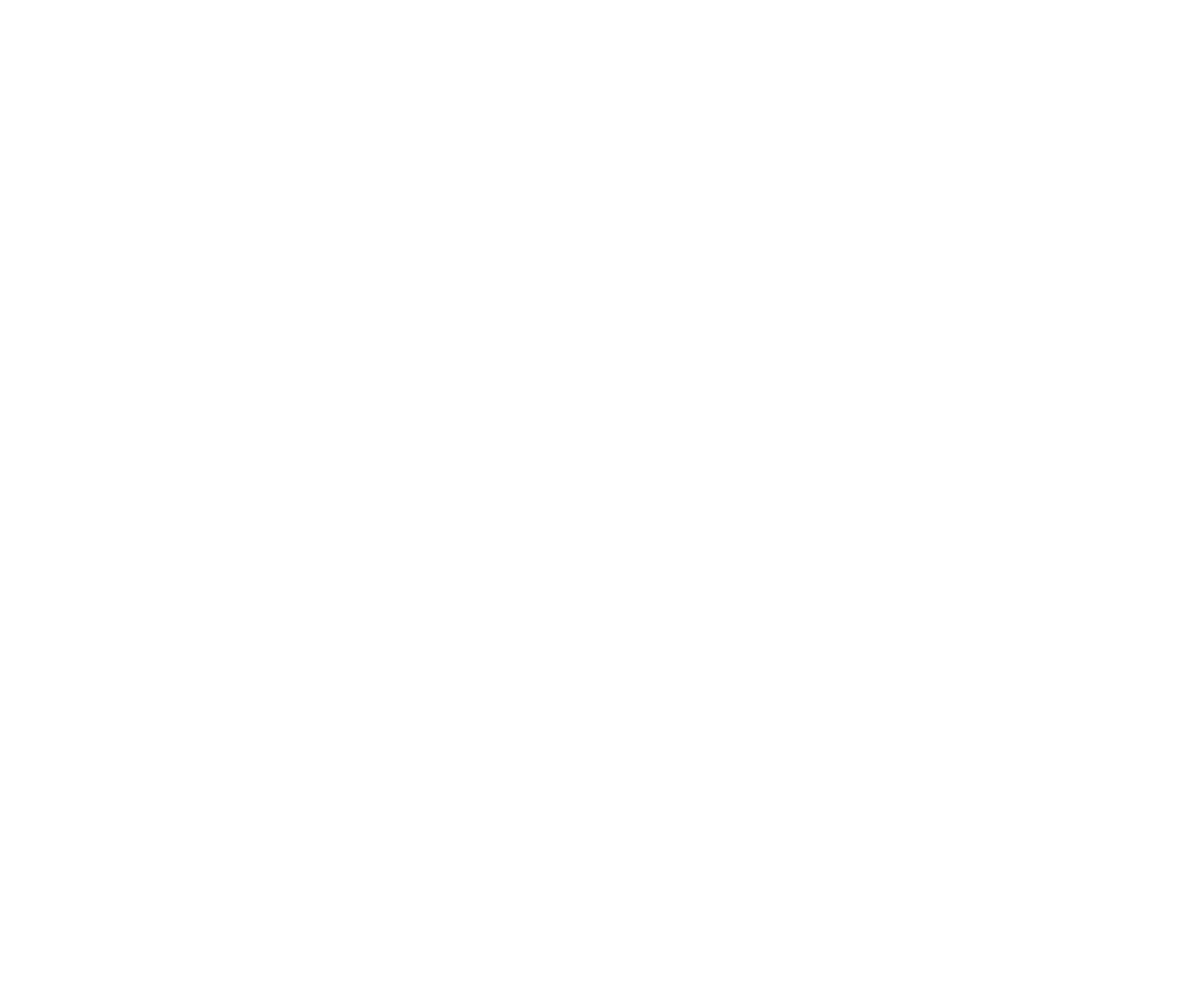 FIPHO Logo